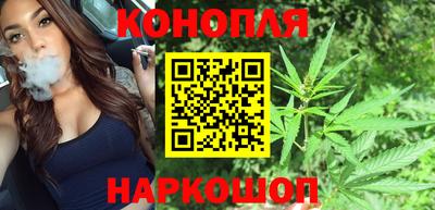 apvp Новоалександровск