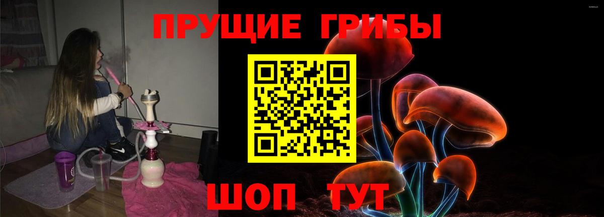 как найти закладки  Галлюциногенные грибы Psilocybine cubensis  Вход с VPN  Прокопьевск 